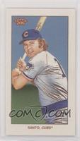 Ron Santo #/25