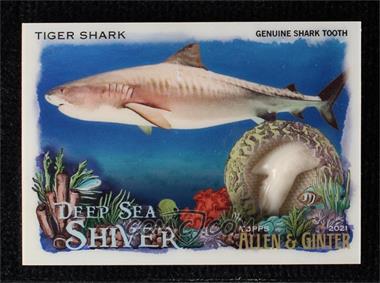Tiger-Shark.jpg?id=05ae9a51-09f3-436a-a22d-c9cbe620404d&size=original&side=front&.jpg