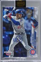 Willson Contreras (2020 Topps Opening Day) [Buyback] #/41