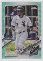 Tim Anderson #/199