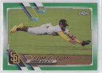 Image Variation - Fernando Tatis Jr. (Horizontal, Diving) [EX to NM] …