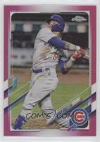 Javier Baez #/399