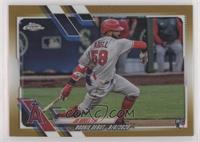 Rookie Debut - Jo Adell #/50