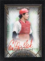 Carlton Fisk #/25