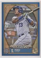 Salvador Perez #/150