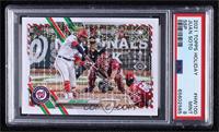 SP Rare Variation - Juan Soto (Christmas Lights in Background) [PSA 9 …