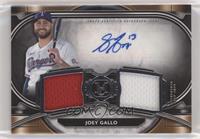 Joey Gallo #/249