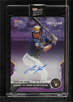 Christian Yelich [Uncirculated] #/25