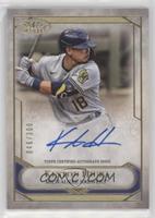 Keston Hiura #/300