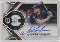 Austin Meadows #/50