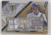 Anthony Rizzo #/9