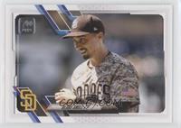 SP Variation - Blake Snell