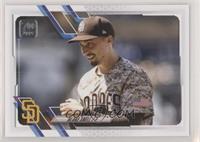 SP Variation - Blake Snell [EX to NM]