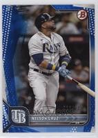 Nelson Cruz #/125