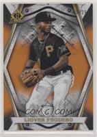 Liover Peguero #/25