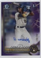 Hendry Mendez #/250