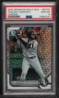 Yoelqui Cespedes [PSA 10 GEM MT]