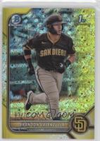 Brandon Valenzuela [EX to NM] #/75