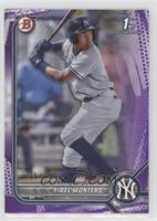 Fidel Montero [EX to NM] #/199