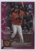 Brandon Crawford #/299