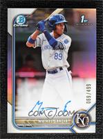 Maikel Garcia #/499