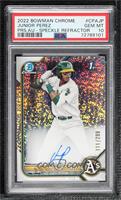 Junior Perez [PSA 10 GEM MT] #/299