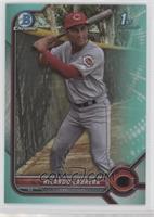 Ricardo Cabrera [EX to NM] #/125