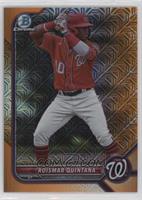 Roismar Quintana #/25