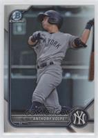 Anthony Volpe [EX to NM] #/499