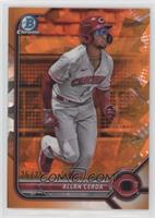 Allan Cerda #/25