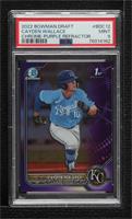 Cayden Wallace [PSA 9 MINT] #/250