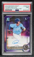 Cayden Wallace [PSA 9 MINT] #/250