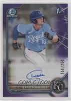 Cayden Wallace #/250