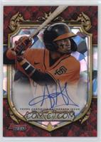 Aeverson Arteaga #/25