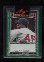 Pedro Martinez [Uncirculated] #/1