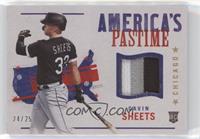 Gavin Sheets #/25