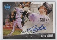 Gavin Sheets #/25