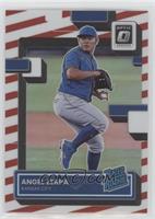Rated Rookie - Angel Zerpa #/46