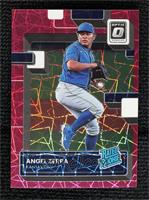 Rated Rookie - Angel Zerpa #/249