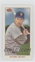 Ted Williams #/100