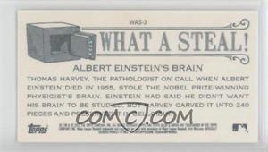 Albert-Einsteins-Brain.jpg?id=3bd02da2-d16c-4041-8089-20b1389771ac&size=original&side=back&.jpg