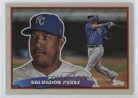 Salvador Perez