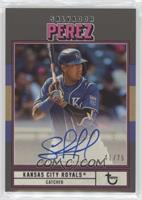 Salvador Perez #/75