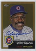 Andre Dawson #/50