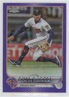 Carlos Correa [EX to NM]