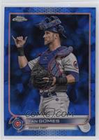 Yan Gomes