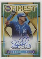 Salvador Perez [EX to NM] #/15