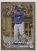 Vladimir Guerrero Jr. #/99