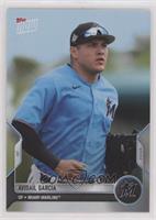 Avisail Garcia #/81