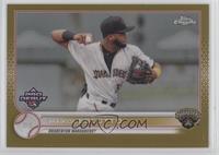 Maikol Escotto [EX to NM] #/50